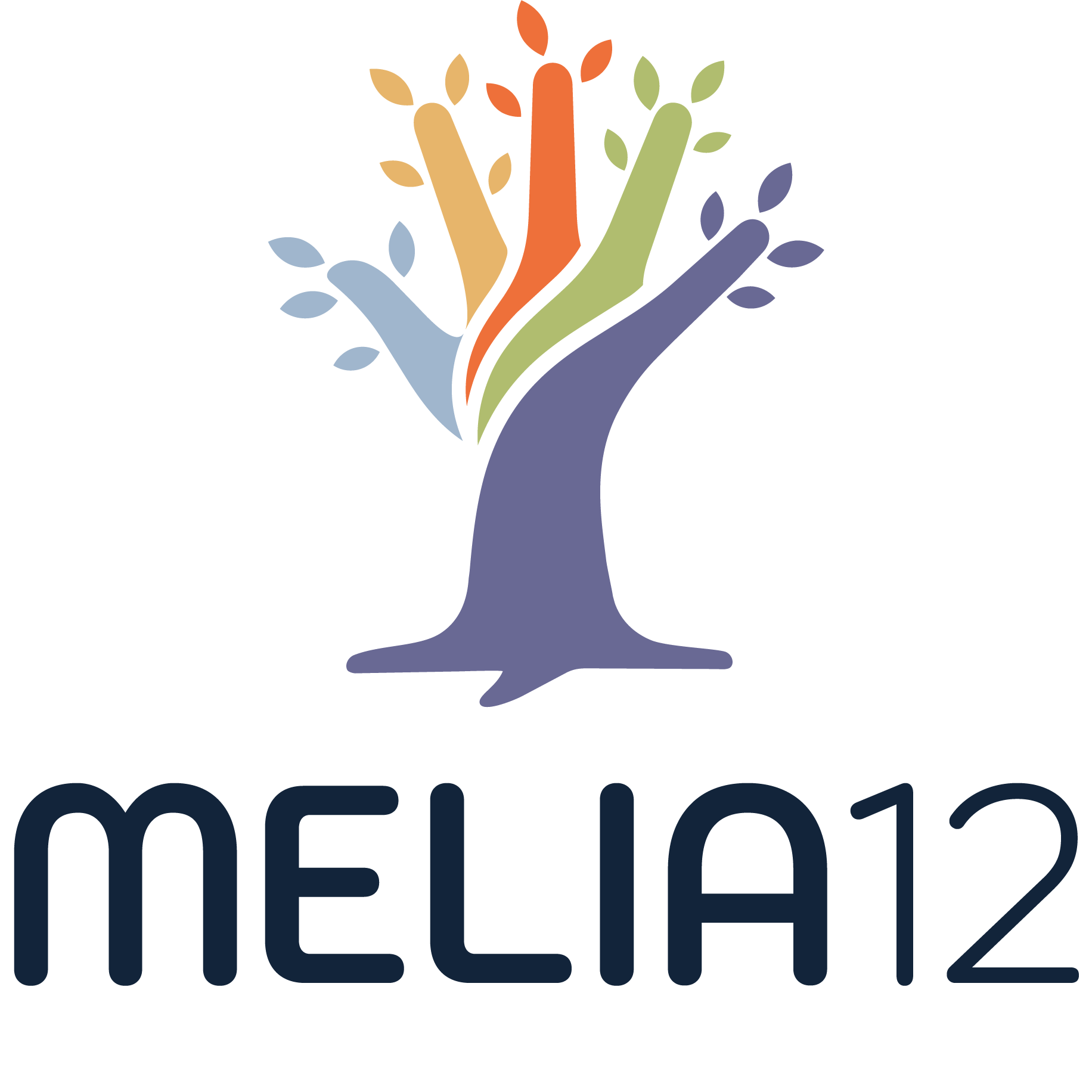 Logo pep 12